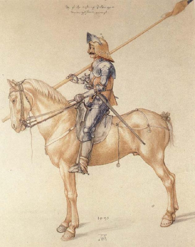  Equestrian Kninght in Armor